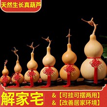 ��Ȼ���J����Ї��Y����Xľ�|����J���Ҵ����������J�[���͏d