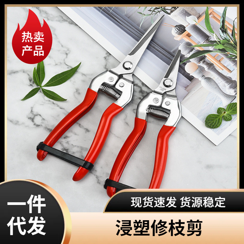 修枝剪不锈钢园艺剪刀家用摘水果工具果枝剪园林花园树枝轻便修剪