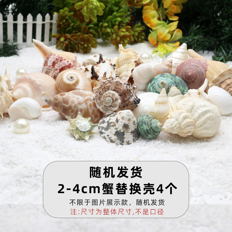 "무작위로 2-4cm 크기의 게 교체 껍질 4개를 ""특별 제공""으로 보내드립니다."