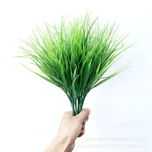 Sl7СřڻԸb ˮݼٲֲ