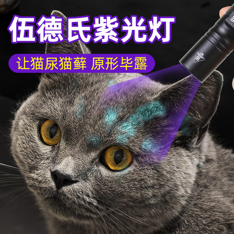 主图7.jpg