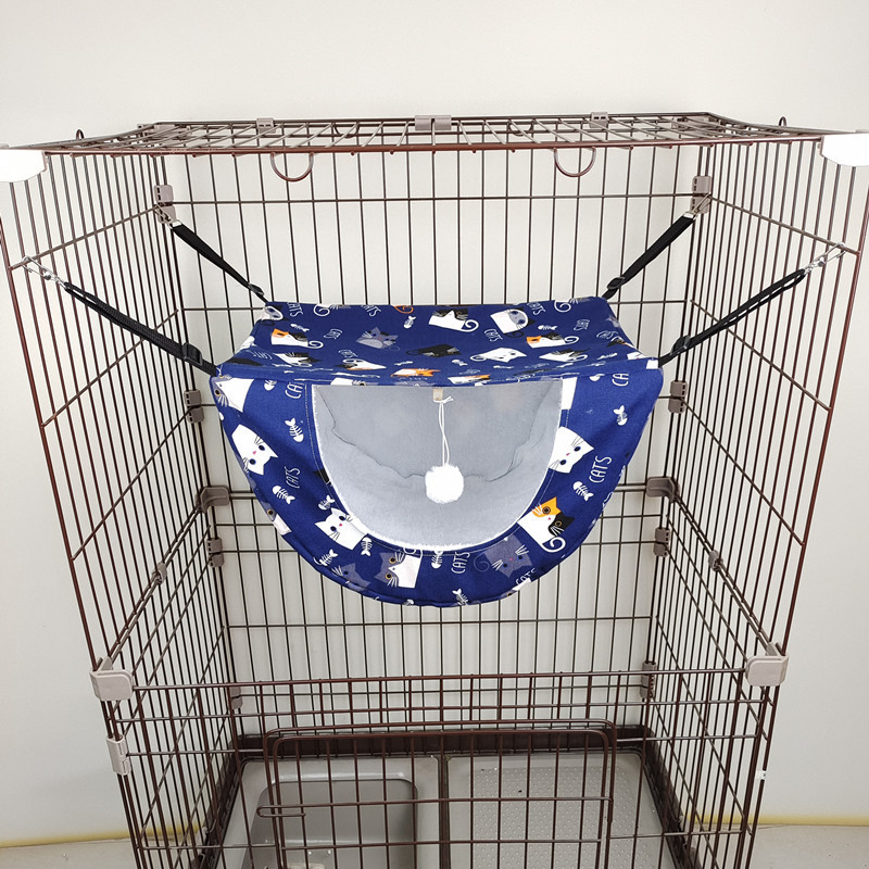 네이비 새끼 고양이