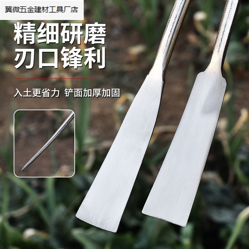 야생 야채를 파는 작은 마늘 삽, 휴대용 파는 야채 삽, 작은 목자의 지갑 파는 삽, 가정용 잡초 제거 및 원예 삽.