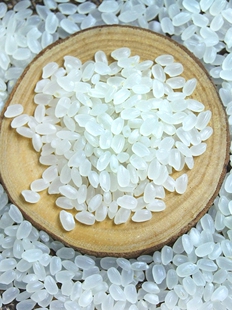 Ľ�Z������2023�|��������5�������10��A��ܛŴ������ʯ�����