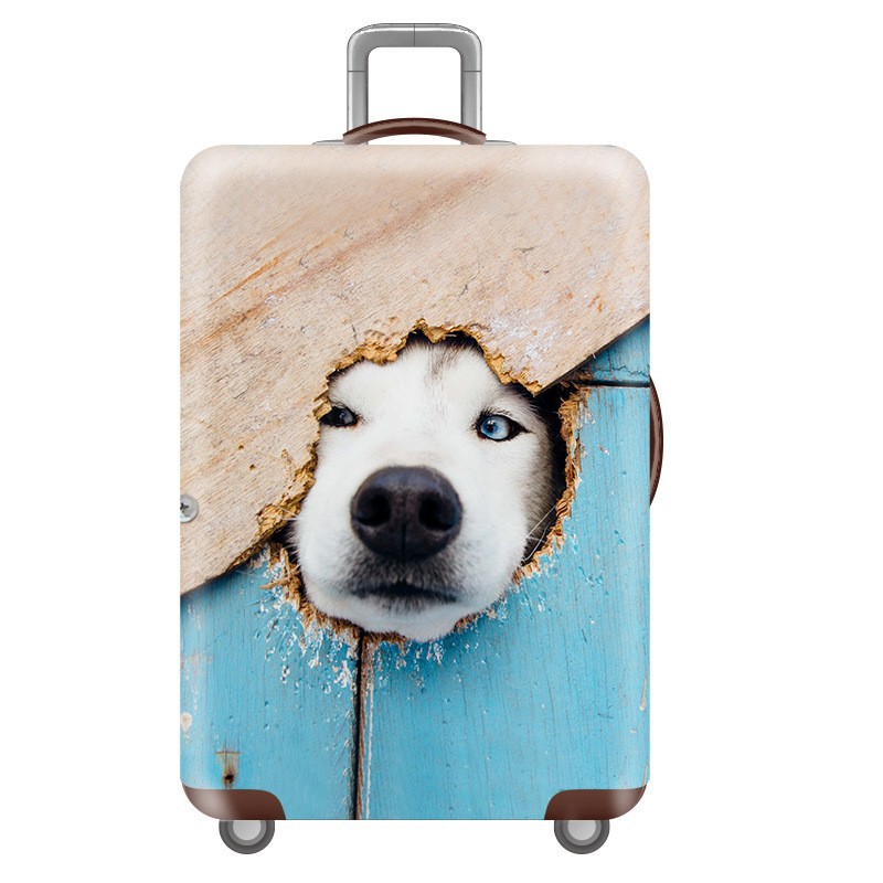 구멍을 뚫는 개