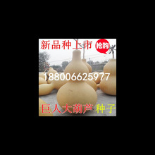 ���˳�����J�N�� ���ͺ��J ���J�N�� �����N��