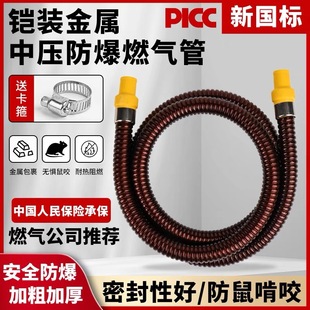 Commercial Household Armored Gas Pipe Thickened Commercial Explosion-proof Pipe Liquefied Gas Pipe Natural Gas Pipe Cooker Metal