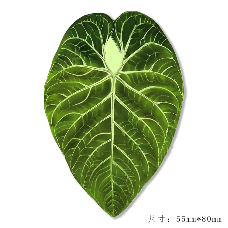 植物魔法の冷蔵庫マグネット、珍しい植物、創造的な緑の植物冷蔵庫マグネット、装飾的な文化的で創造的なお土産冷蔵庫マグネット卸売|undefined