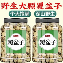 ��������ș����Ʒ�ٷ���Ş��Ұ�������Ӳ踲���Ӹ����ɣ�ز��ݲ�