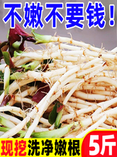 �۶������r�~�Ȳ��i�ǿ׮���Ұ�߲���ѿ�۸��~�F�ݛ�����˼�ʳ