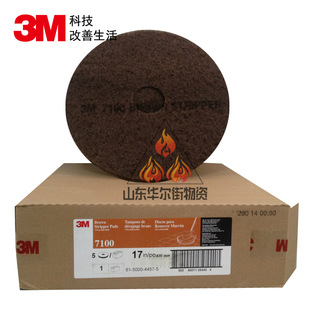 3M7100 5Ƭ/����ɫ�Ӻ���Ϟ�坍����ϞˢƬȥ���۹��ٝ��|Ƭ17��