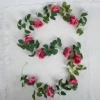 10 large deep pink rose vine