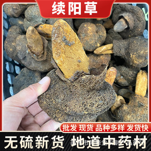 �mꖲ���ș����������� ��ˮ�ش��� ����� ؛Դ����һ�����l