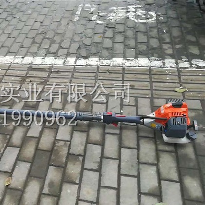 意大利欧玛PPX271高枝油锯 可伸缩高枝油锯 园艺园林高空修枝锯