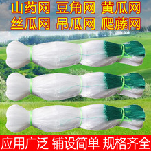 ���پW �߲˹Ϲ��r�����پW ����S�ό��������W�r�÷Nֲ�W