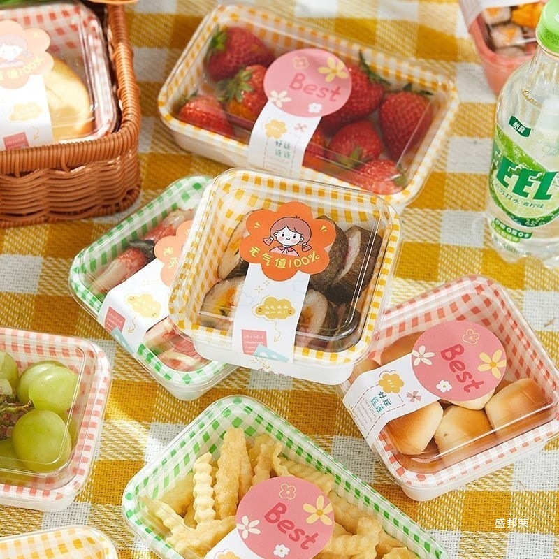 Picnic Packaging Box Sushi Fruit Dessert Cake Bento Camping Style Spring Outing Stall Takeaway Disposable Packaging Box