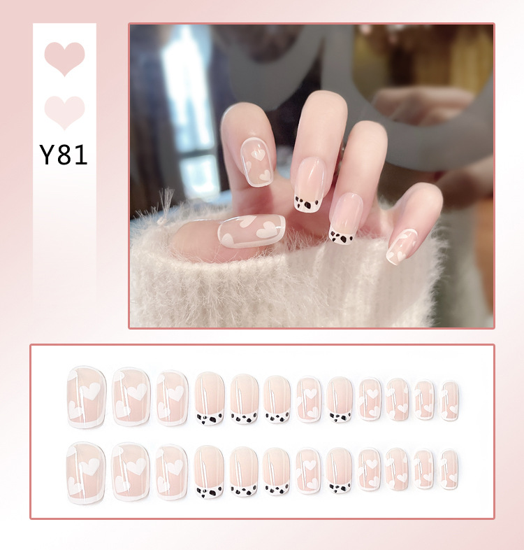 Y81