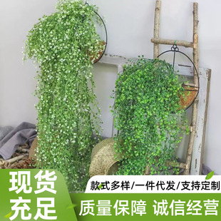 �羳�����ٗl�ٻ����R�����⠝���b��҃����b�