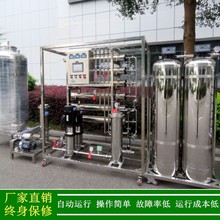 二级反渗透厂家0.5t二级反渗透纯水医药用设备一体机纯化水系统