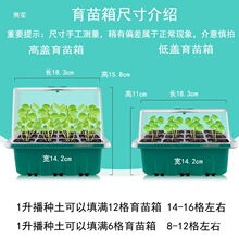 ��Ʒ�������������Ǥ��зN���������NѨ�P������N��12�א��B��