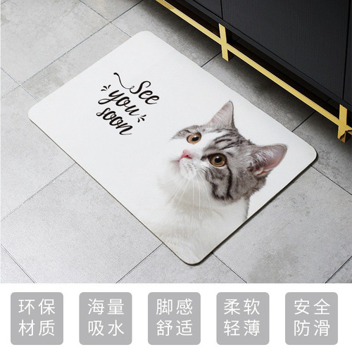 Marble diatomaceous earth soft cushion bathroom water-absorbent quick-dry mat toilet non-slip bathroom rug bathroom floor mat