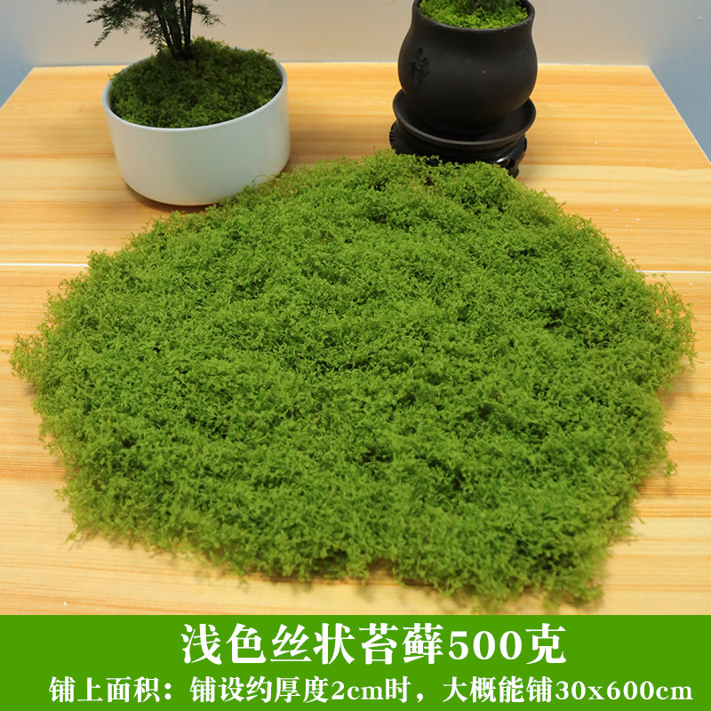 コケ造景偽コケ毛糸草皮緑植微景観植物装飾人造絨毛糸コケ|undefined