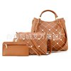 Set, fashionable bag strap one shoulder, suitable for import, 2021 collection, Korean style, 3 piece set