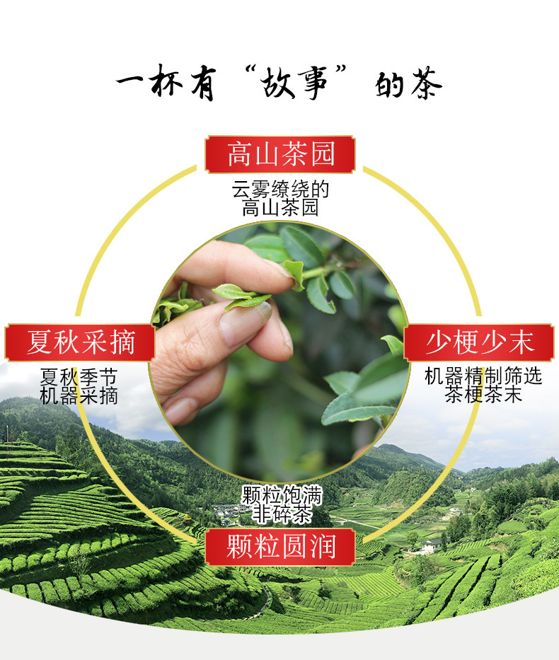 Biluochun Green Tea 2024 Spring Harvest Loose Leaf 500g Bag key features