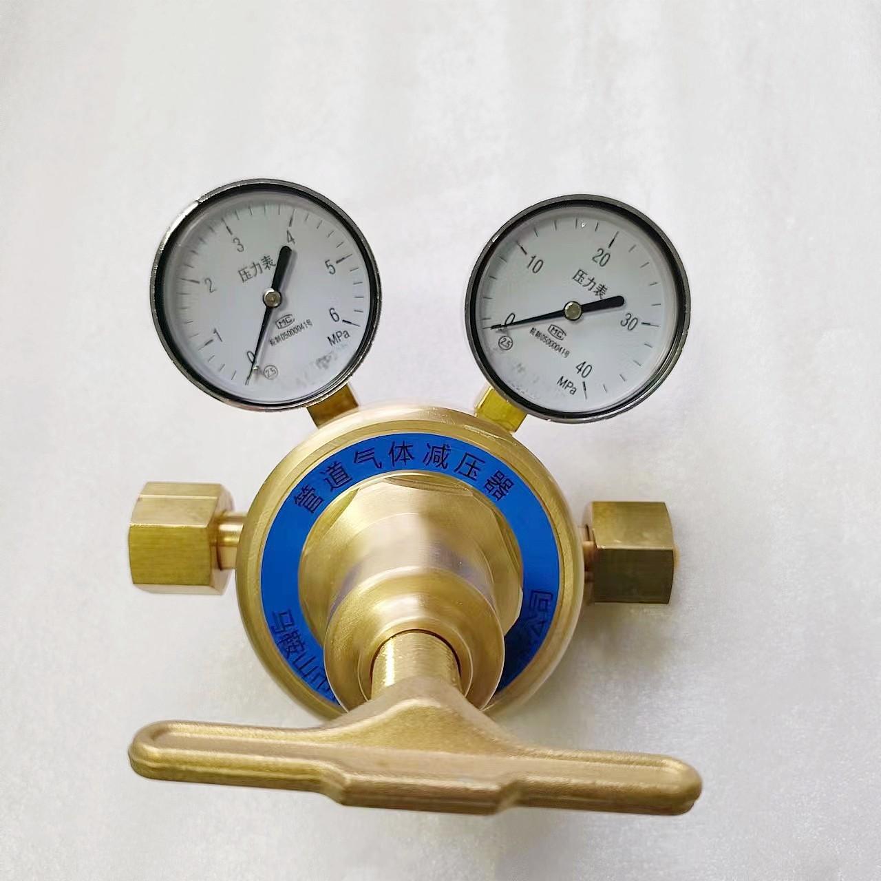 二氧化碳电加热减压器,管道减压表稳压器单级双表减压阀