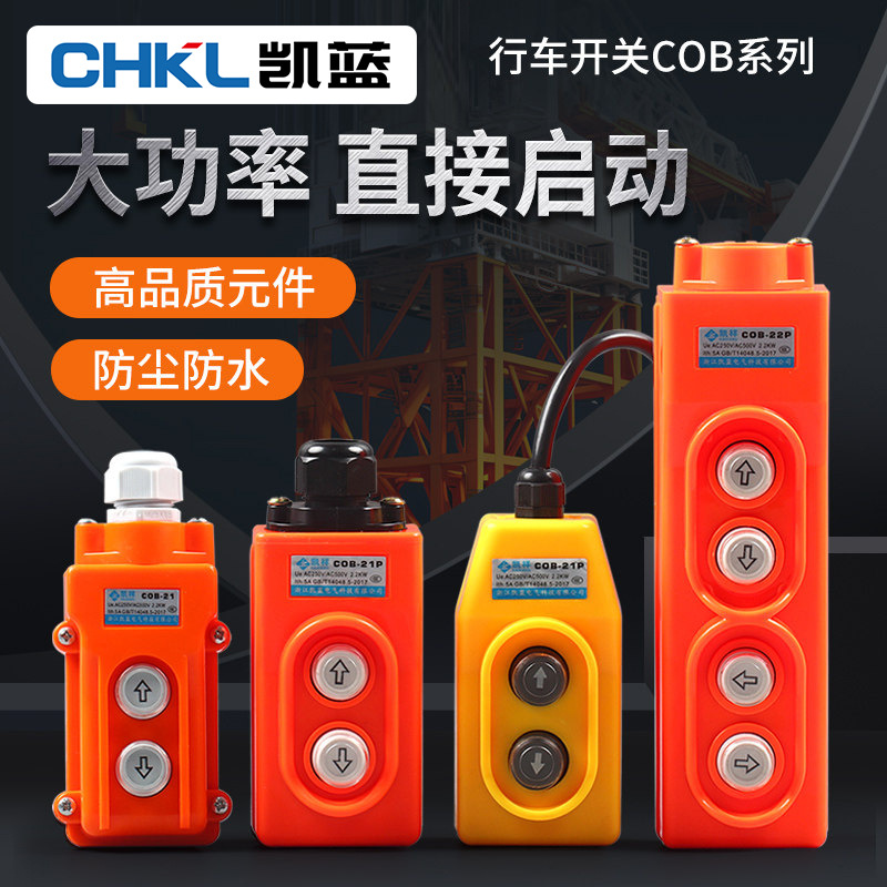 COB COP-21行车开关直控型吊机吊车开关 上下按钮大功率TNHA1-213