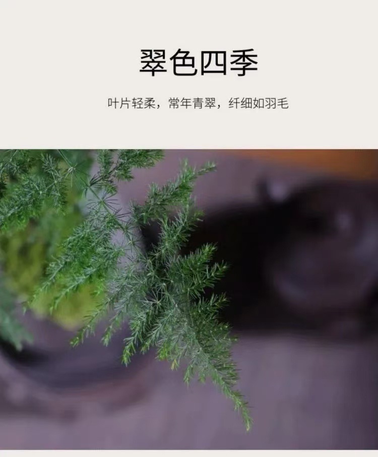 eb816679-3cf3-495e-9a38-a2a8590b4c55.jpe