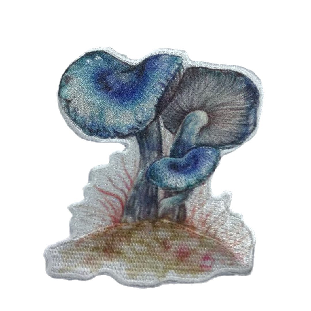 2024-11-15 15:46:45.jpg