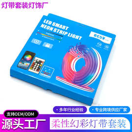 6*12正面发光LED霓虹灯带USB5v霓虹灯硅胶软灯条套装跑马流水灯带