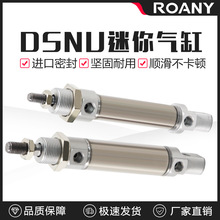 DSNU-12-10-15-16-20-25-30-32-40-50-63-PPV-P-A