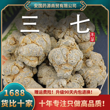 三七中药材云南文山正品三七根20头田七新鲜生云三七非野生泡酒粉