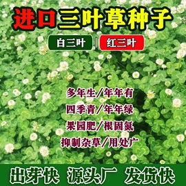 园艺工具;其他园林资材;营养液