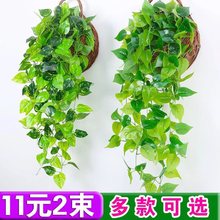 仿真绿萝植物假花壁挂藤蔓绿植墙面客厅室内吊兰装饰墙壁挂花吊篮