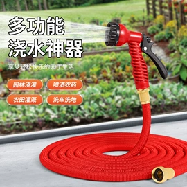 洗车水枪;高压水枪;园艺灌溉工具