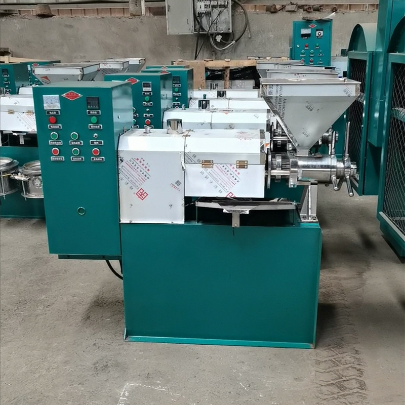 凯创供应全自动榨油机 220V油坊用多功能榨油机 小型中型压油机