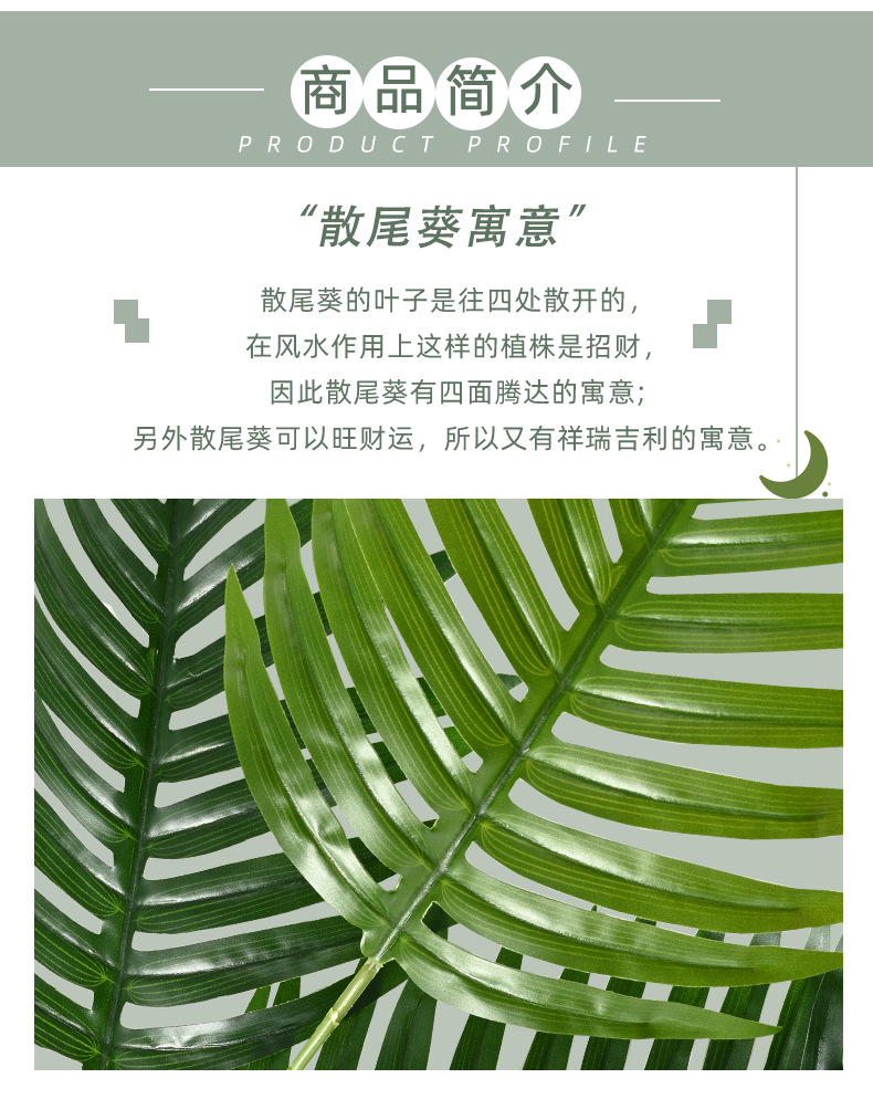 仿真散尾葵树