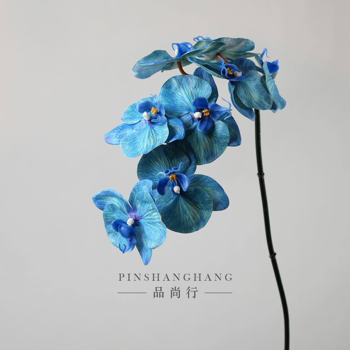 로얄블루-93cm
