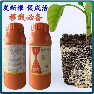 国光植根源5%萘乙酸生根剂水移栽壮根生根剂植物生长调节剂生根液-阿里巴巴