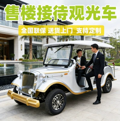 Electric Golf Sightseeing Elektrikli qolf avtomobilləri - vip-reception-please-contact-customer-service-for-quotation