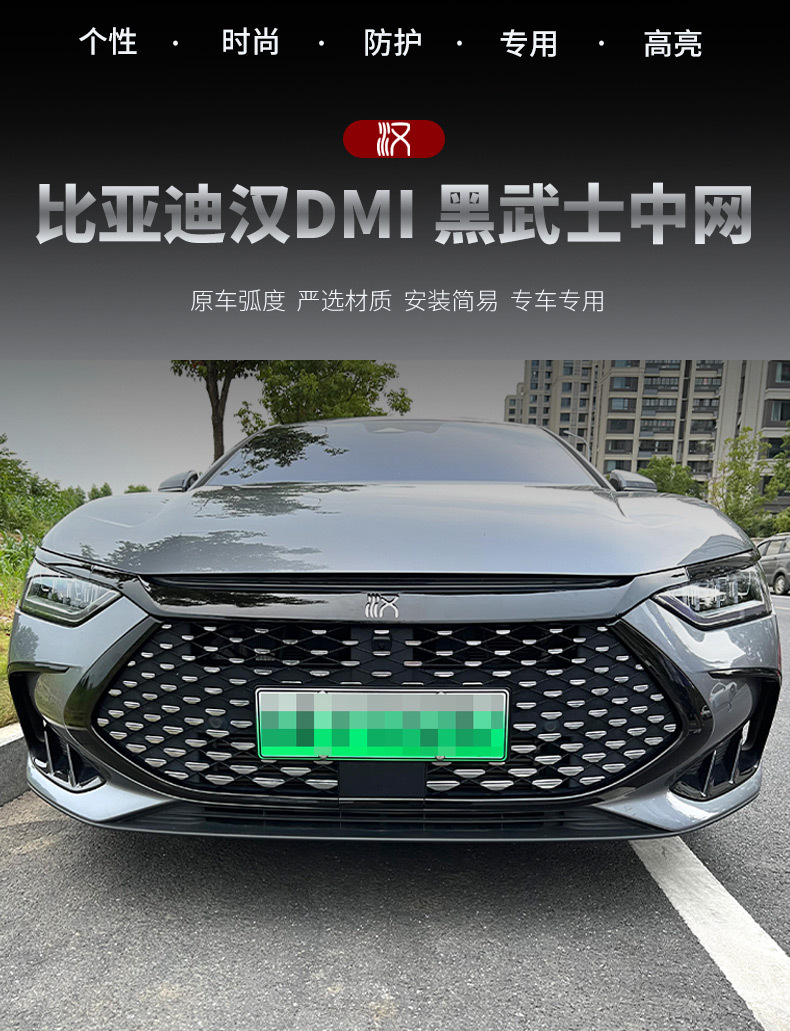 Black Warrior Grille Trim Front Hood Eyebrow Kit for BYD Han DMI