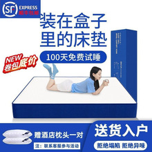 �{ɫӛ���޺��Ӿ������䴲�|ϯ��˼���É��s���|ܛӲ���񴲉|