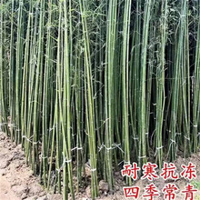 ������ͥԺֲ�������ļ�����G���S�����������_�h��ë��������