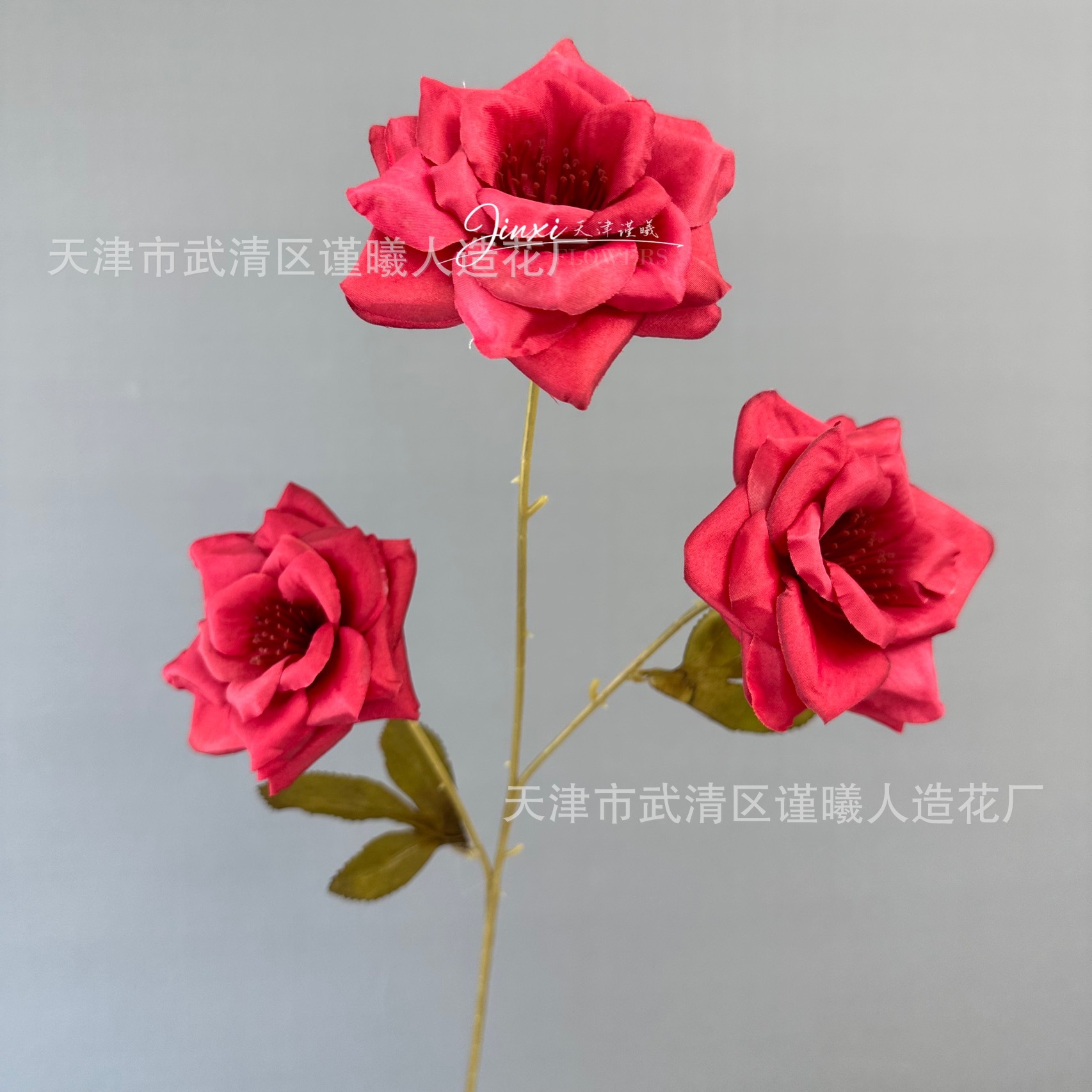3 로즈