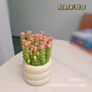 Money String Desktop Small Potted Plant for Attracting Wealth, Succulent Plant for Office or Balcony, Radiation-Resistant Green Plant, Easy to Care for