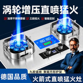 德国品牌燃气灶双灶家用天然气液化气猛火灶九腔直喷不锈钢新款