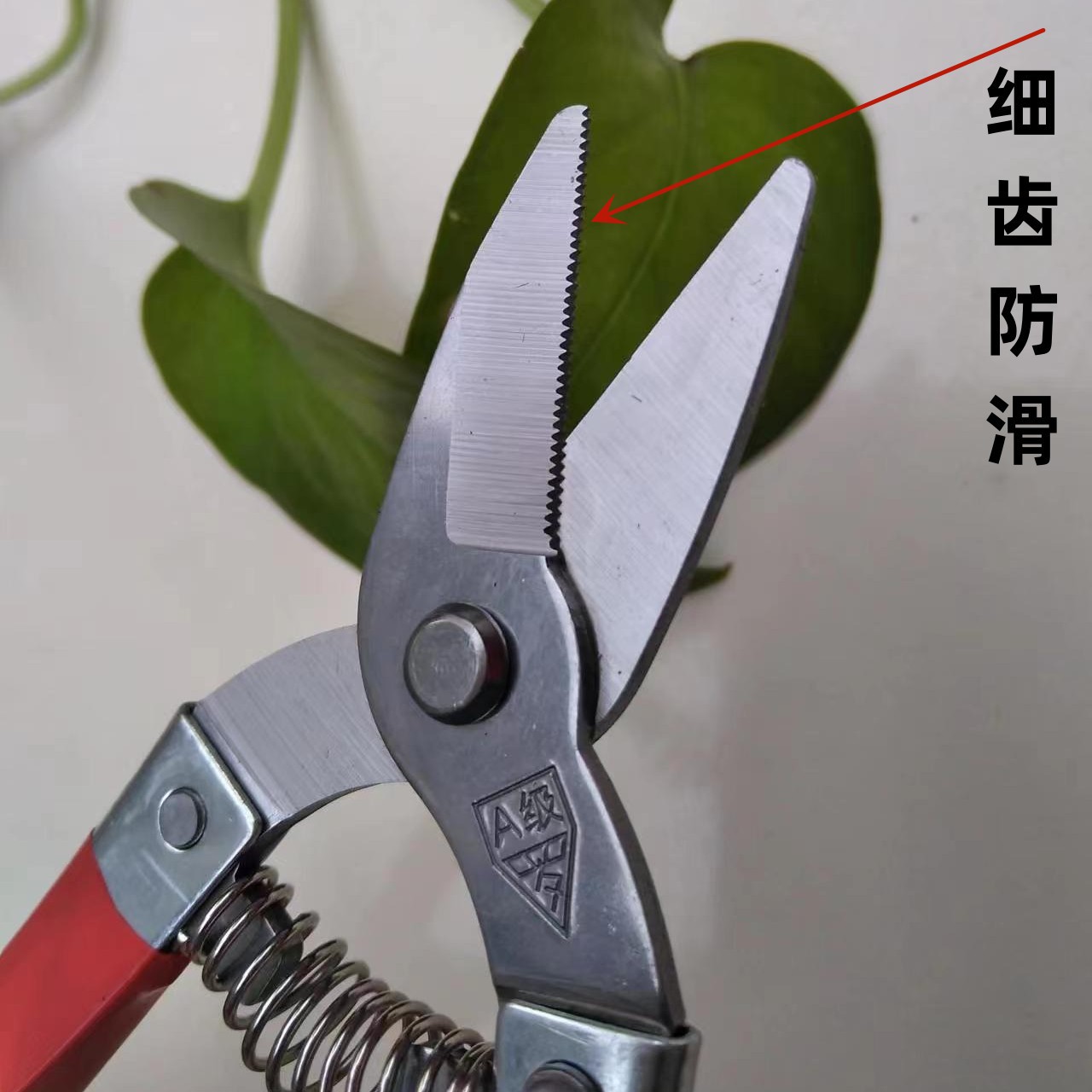 Ciseaux dentés Luo Dahong Grade A 17 cm